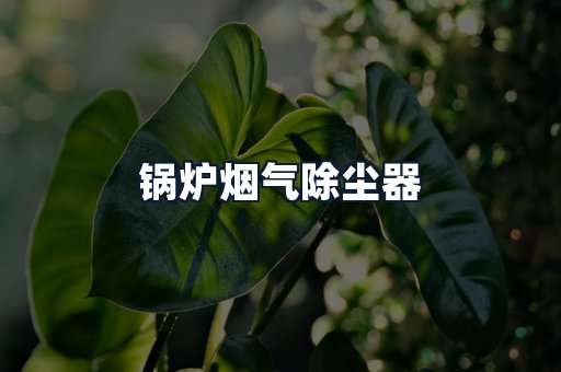 锅炉烟气除尘器